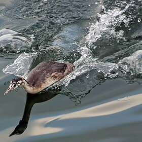 ���������������