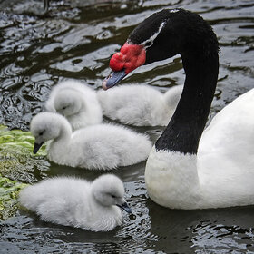 �������