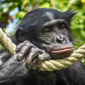 ��������