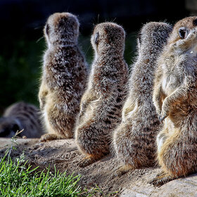 � �� ��������