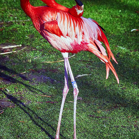 ���������� �� �����