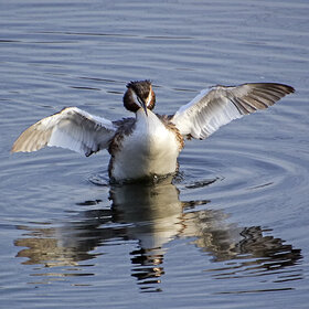 ��������� ������