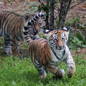 �������