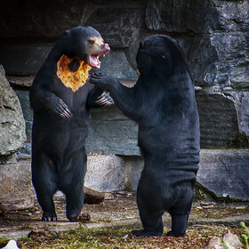 �������� �� ��� ���� ....