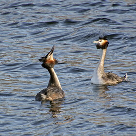 ������ �����. ����� ���������