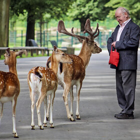 �������