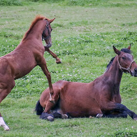 �� �� ����� ������ !!