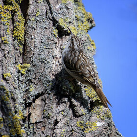 ������������ ������