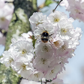 ������ � ������