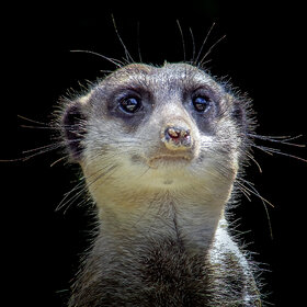 �������