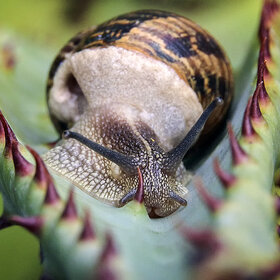 �� �������� ������