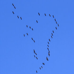 ������� � ����