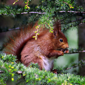 �� ������ �� ������,