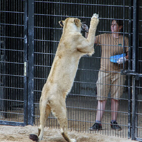 ��� ����� ���. ����� ����, �����