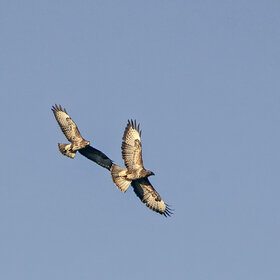 ����� � ����