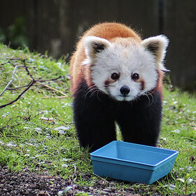 �� ����� �������