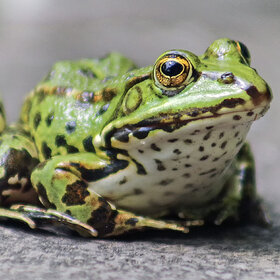 �������